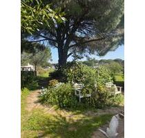 Traumfinca Andalusien mit zwei separaten Wohnhäusern A und B - Kirchgellersen