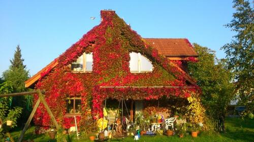 Foto - Einfamilienhaus in Welver zum Kaufen