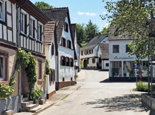 Foto - Einfamilienhaus in Kippenheim