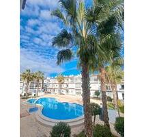 Apartment Punta Prima Torrevieja Wohnung mit Pool - Trier Feyen-Weismark