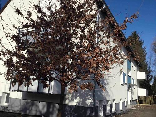 Foto - 2 Zimmer Erdgeschoßwohnung zur Miete in Garbsen