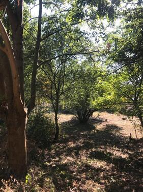 Foto - Grundstück in Querfurt zur Miete