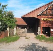 4-Zimmer- Wohnung in Hofgemeinschaft - Springe