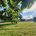 Foto - Grundst&uuml;ck in Ingoldingen