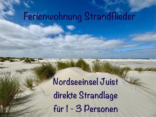 Foto - Nordseeinsel Juist, FREI Ferienwohnung Strandflieder, 1-3 Pers.