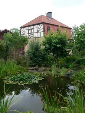 Foto - Einfamilienhaus zum Kaufen in Sachsenhagen