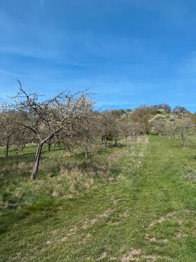 Foto - andere zum Kaufen in Ötisheim