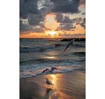 Ferienwohnung Ostsee ÜckeritzUsedom frei 5.9.-8.9. - Koserow
