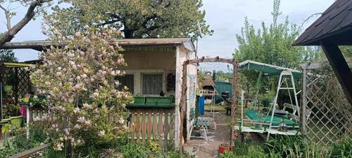 Foto - Kleingartenverein in Frankfurt Oder