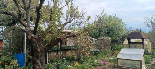 Foto - Grundst&uuml;ck zur Miete in Müllrose