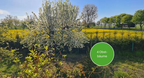 Foto - 4 Zimmer Einfamilienhaus in Zehdenick