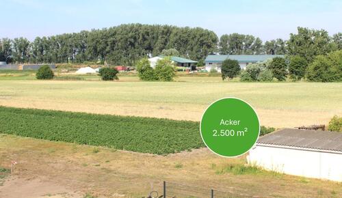 Foto - Einfamilienhaus in Zehdenick zum Kaufen