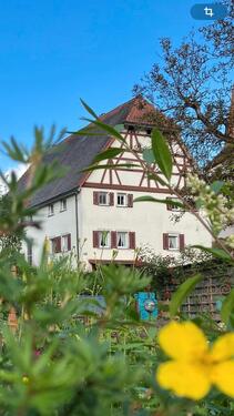 Foto - Möblierte 2-Zi-Whg in Bettwar bei Rothenburg