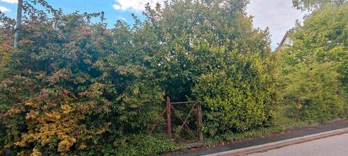 Foto - 8 Zimmer Einfamilienhaus zum Kaufen in Geislingen