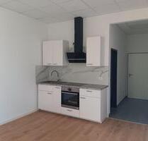 neues 1 Zimmer Appartment mit nutzbarem Balkon - Erlensee