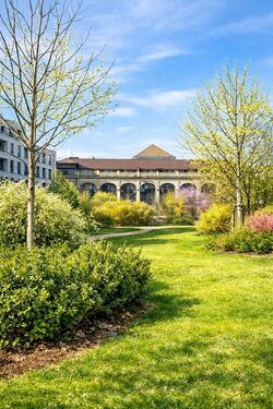 Foto - 1 Zimmer Etagenwohnung zur Miete in Dresden