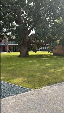 Foto - 2 Zimmer Etagenwohnung zur Miete in Niebüll