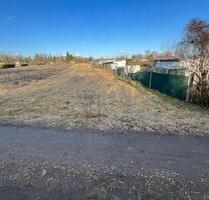 Acker Grünland Wiese zu verpachten in 16269 Wriezen