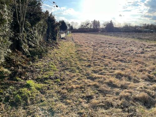 Foto - Grundst&uuml;ck zur Miete in Wriezen