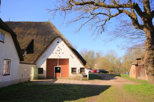 Foto - Ferienwohnung unter Reet, Hof Nordsee St Peter Ording