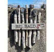 Parterre, zwei Zimmer, Bad ,Hof ,Garten, Einfahrt Werkstatt - Aken (Elbe)