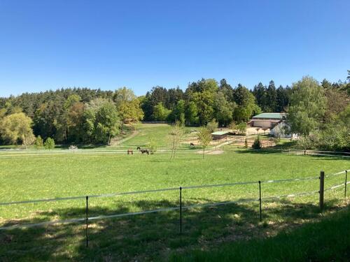 Foto - Reitanlage in traumhafter Alleinlage nordöstlich München