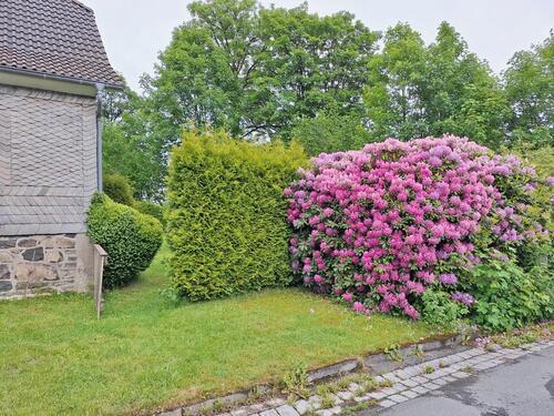 Foto - 6 Zimmer Einfamilienhaus zum Kaufen in Winterberg