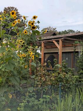 Foto - Kleingarten - 700,00&nbsp;EUR Kaltmiete, ca.&nbsp; 0,00&nbsp;m&sup2;