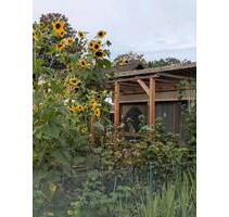 Kleingarten - 700,00&nbsp;EUR Kaltmiete, ca.&nbsp; 0,00&nbsp;m&sup2; in Senftenberg (PLZ: 01968)