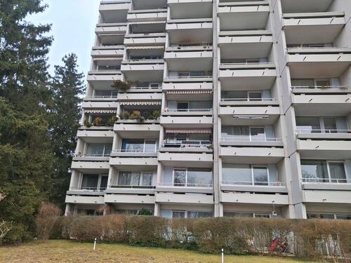 Foto - Frisch renovierte 1-Zi Wohnung in FFB (mit Hausarbeit)