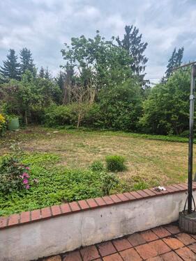 Foto - Grundst&uuml;ck zur Miete in Cottbus