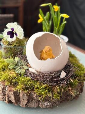 Foto - andere zur Miete in Westoverledingen