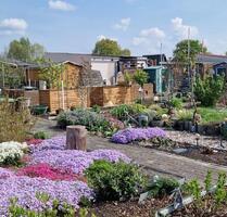 Wohlfühloase (Pachtgarten) in Lübben - Lübben (Spreewald)