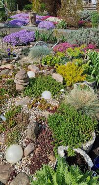 Foto - Grundst&uuml;ck zur Miete in Lübben (Spreewald)