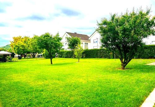 Foto - Ruhige 3,5 Zimmer Wohnung nahe Kurpark Bad Driburg