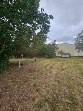 Foto - Schrebergarten für Familien in Hennigsdorf 1000m2