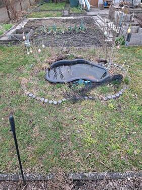 Foto - Grundst&uuml;ck zur Miete in Neupetershain