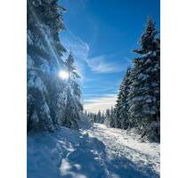 Ferienhaus Harz - 84,00 EUR Kaltmiete, in Oberharz am Brocken (PLZ: 38899) Hasselfelde