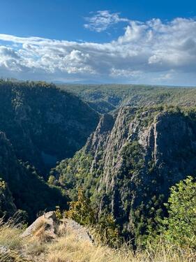 Foto - andere in Oberharz am Brocken