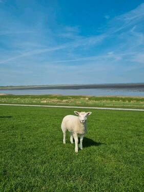 Foto - andere in Dortmund