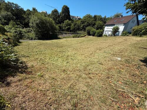 Foto - Grundstück zur Miete in Eitelborn
