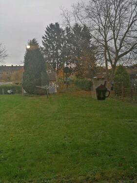 Foto - Ich suhe einen Hauptmiterin - 525,00 EUR Kaltmiete,