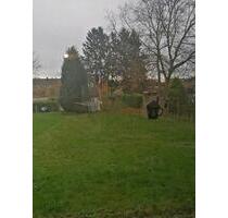 Ich suhe einen Hauptmiterin - 525,00 EUR Kaltmiete, in Aldenhoven (PLZ: 52457)