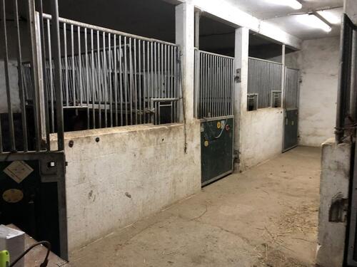 Foto - Stellplätze, Garage für PKW, Auto, KFZ, Youngtimer, Oldtimer