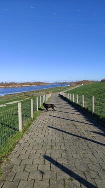 Foto - andere in Leer (Ostfriesland) zur Miete