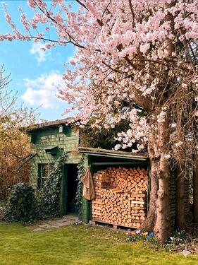 Foto - Grundst&uuml;ck in Wörth zur Miete
