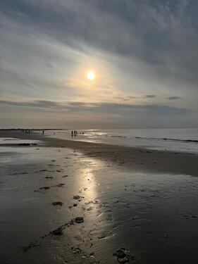 Foto - andere in Essen zur Miete