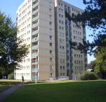 Mit Weitblick: 3 Zimmer Appartement über den Dächern Münsters! Wentzel Dr.