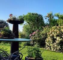 3 Zi Wohnung in Haus-Wohngemeinschaft im Grünen vor Kempen