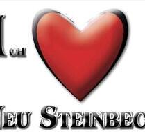 Mietwohnung auf dem Land ab AprilMai (Pferdeliebhaber) - Gadebusch